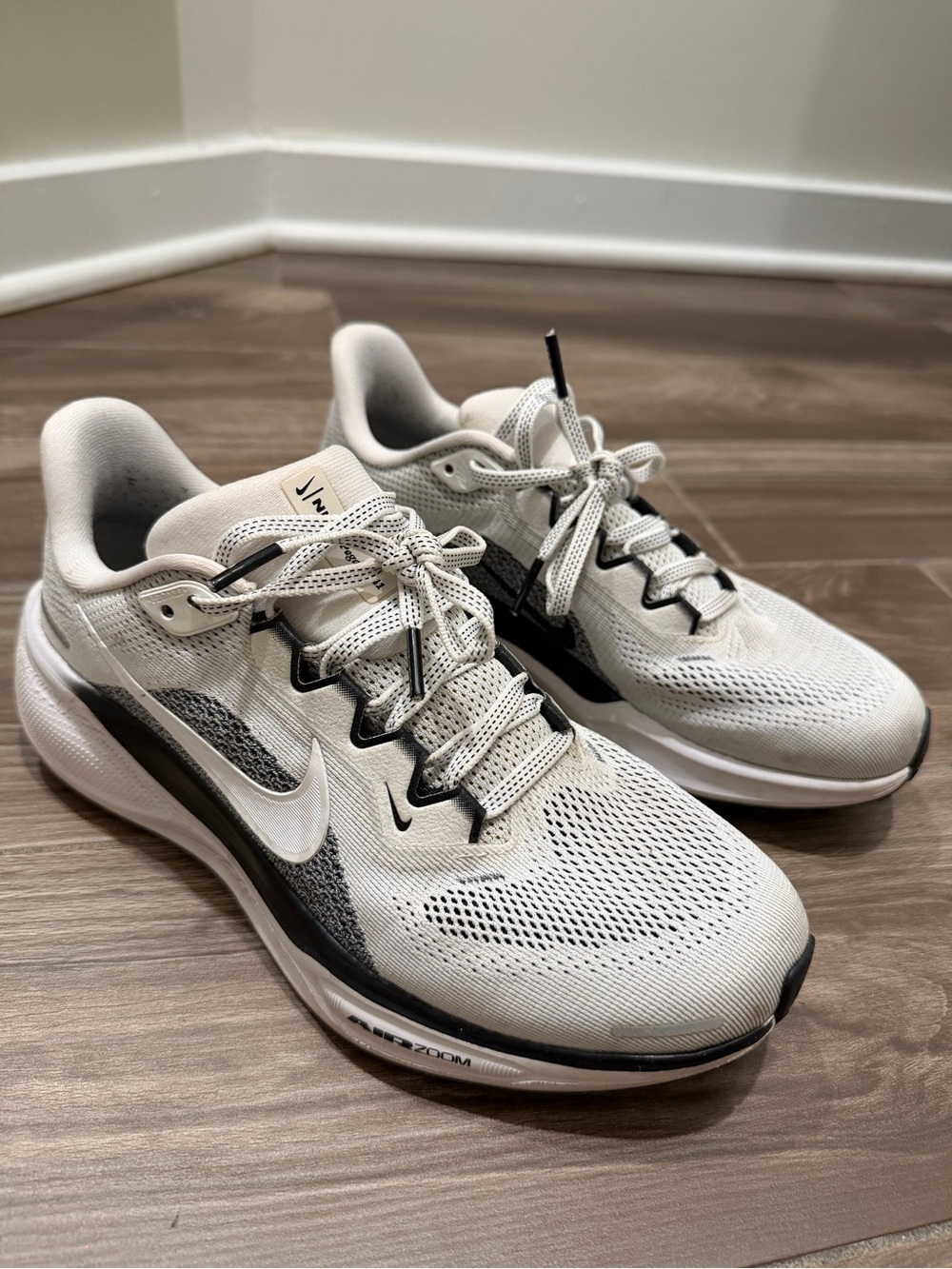 Nike Pegasus 41